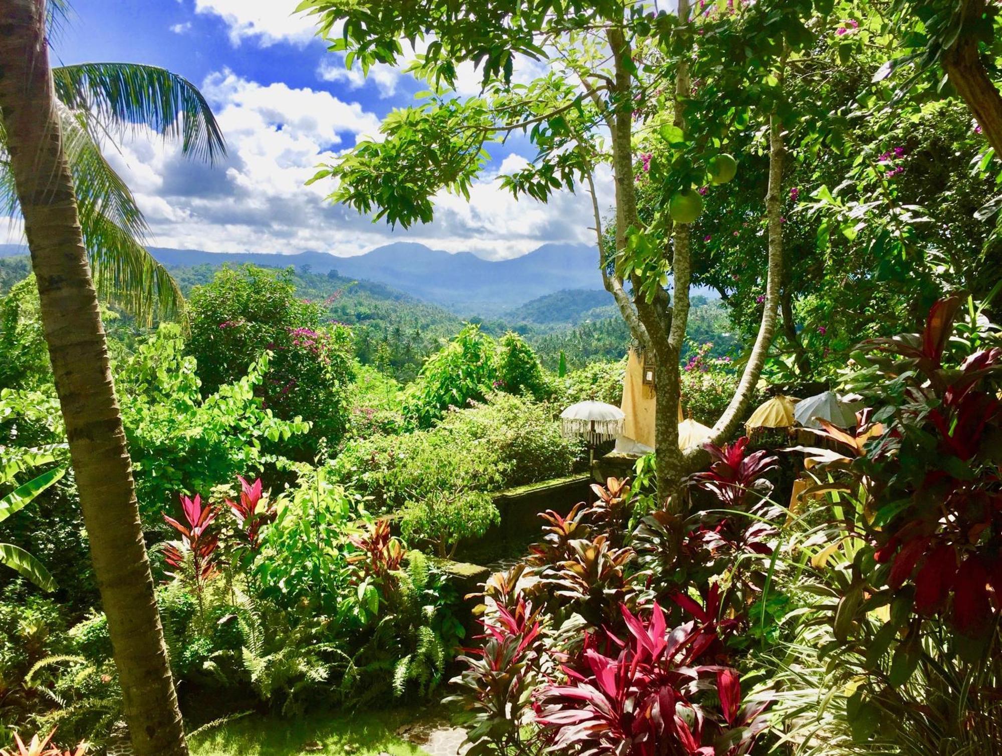 Gunung Paradis Retreat Munduk Exteriör bild