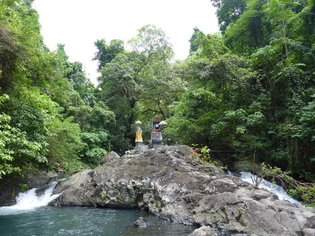 Gunung Paradis Retreat Munduk Exteriör bild